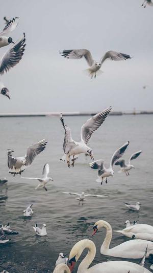 吾爱吃瓜黑料截图5